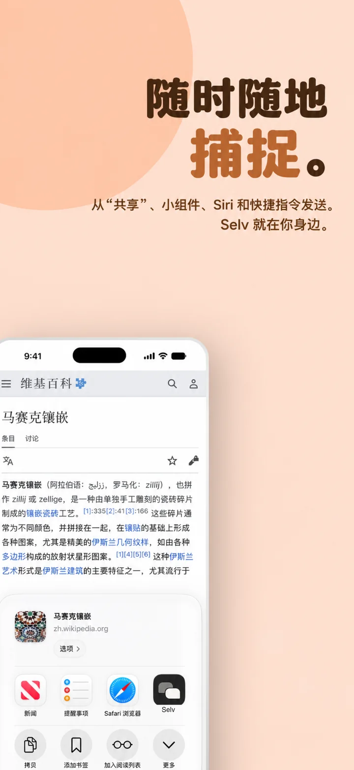 Capture from anywhere — Selv in the share sheet